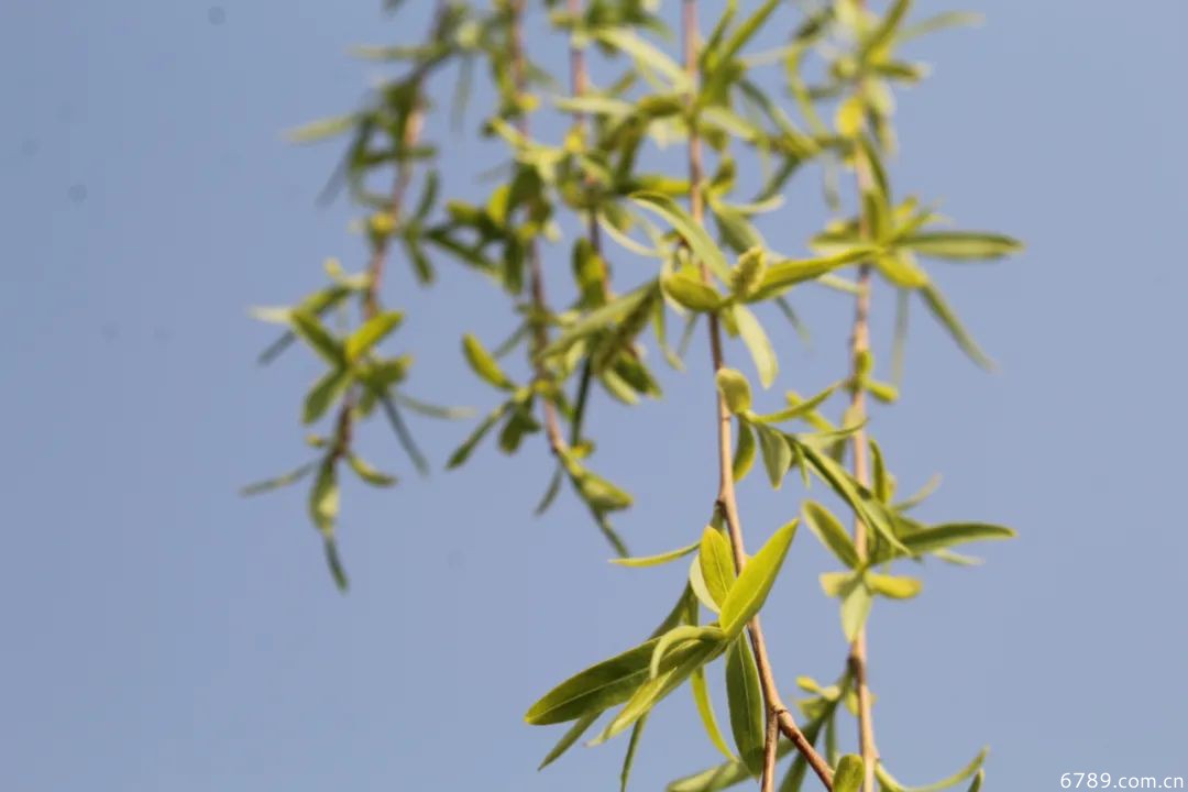 山東力明科技職業(yè)學(xué)院